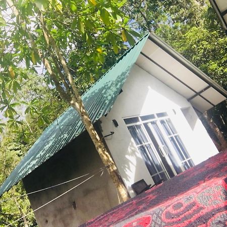 Little Wood Villa And Retreats Doluwa Kandy Buitenkant foto
