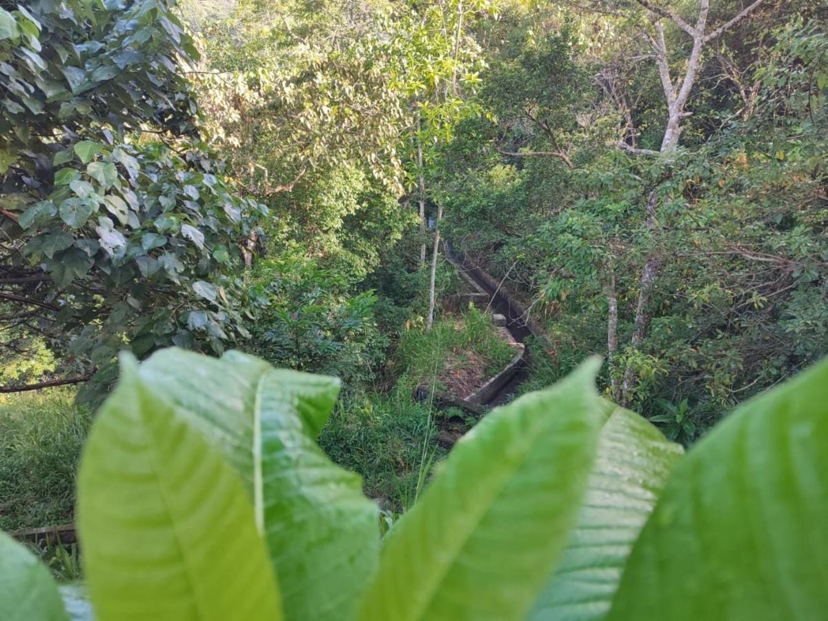 Little Wood Villa And Retreats Doluwa Kandy Buitenkant foto