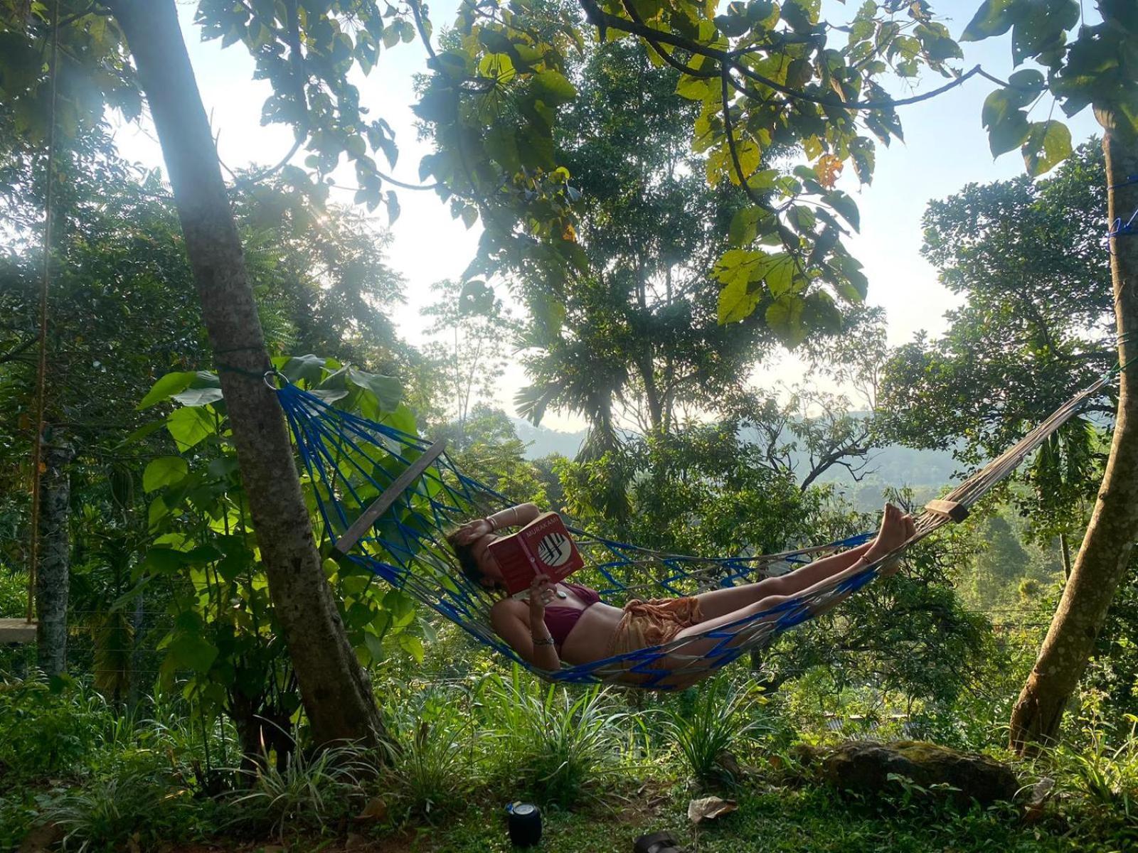 Little Wood Villa And Retreats Doluwa Kandy Buitenkant foto