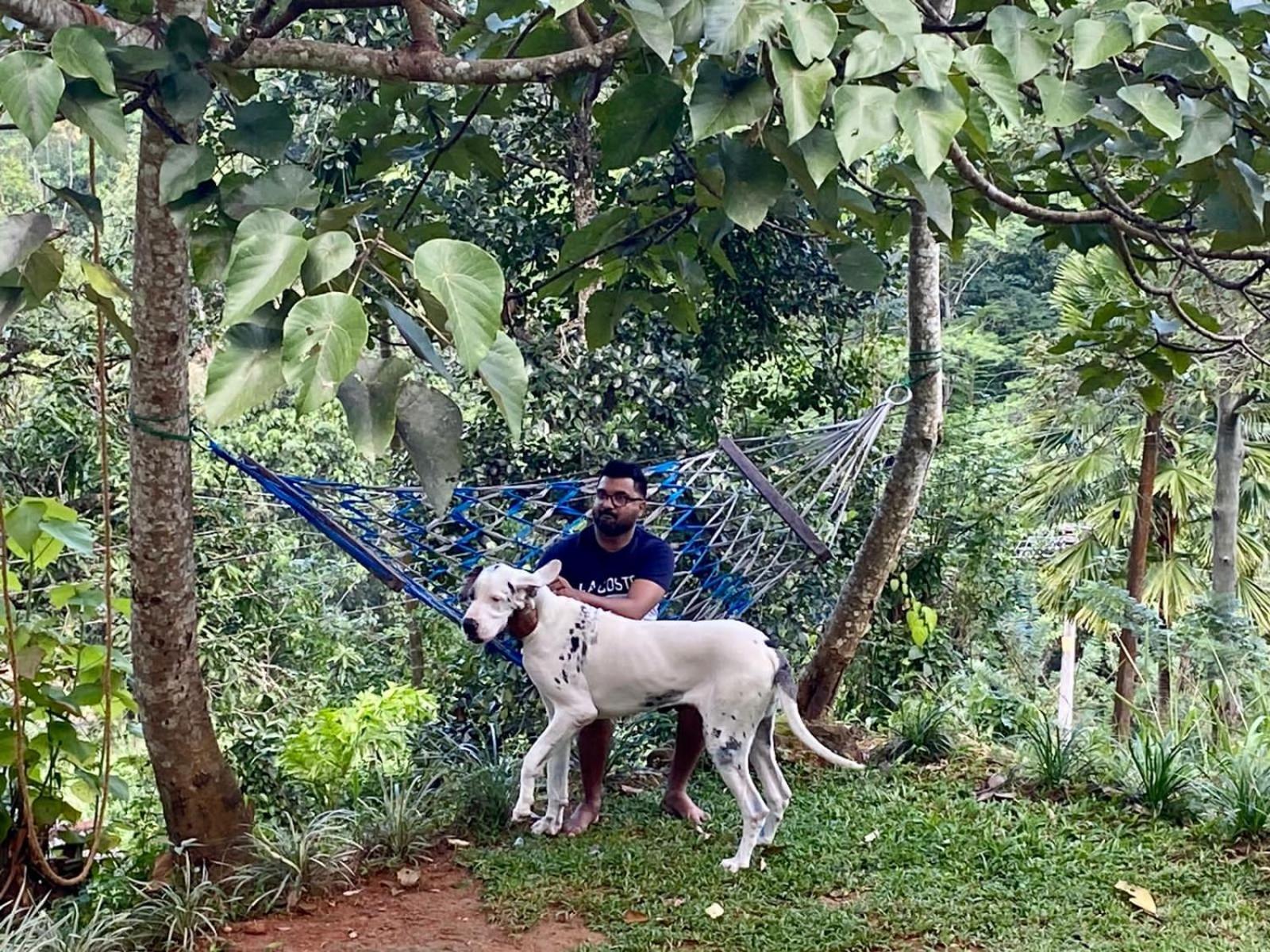 Little Wood Villa And Retreats Doluwa Kandy Buitenkant foto