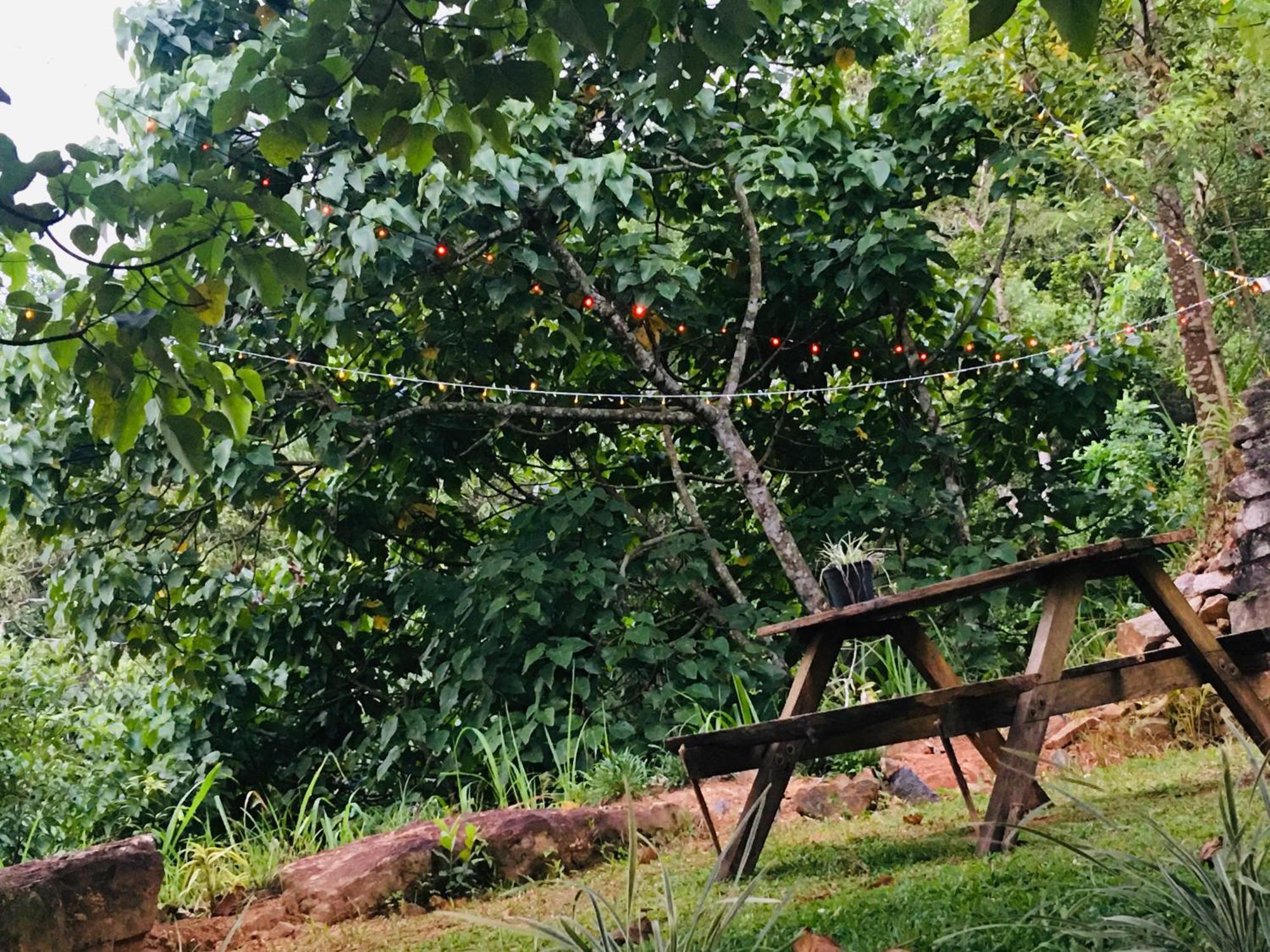 Little Wood Villa And Retreats Doluwa Kandy Buitenkant foto